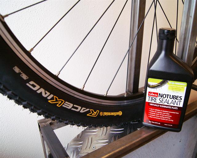 continental mountain king tubeless