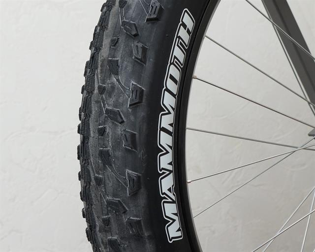 maxxis mammoth