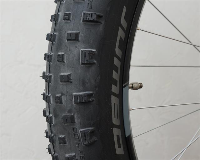 schwalbe fat bike