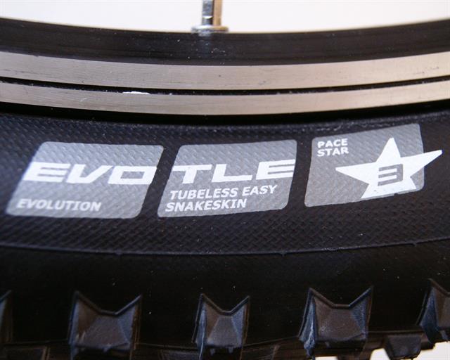 Schwalbe racing discount ralph 29 evo