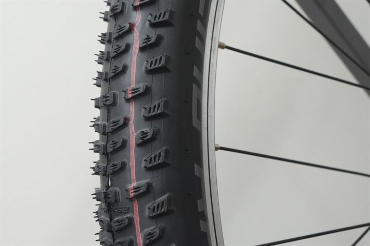 Schwalbe racing cheap ralph 29 2019