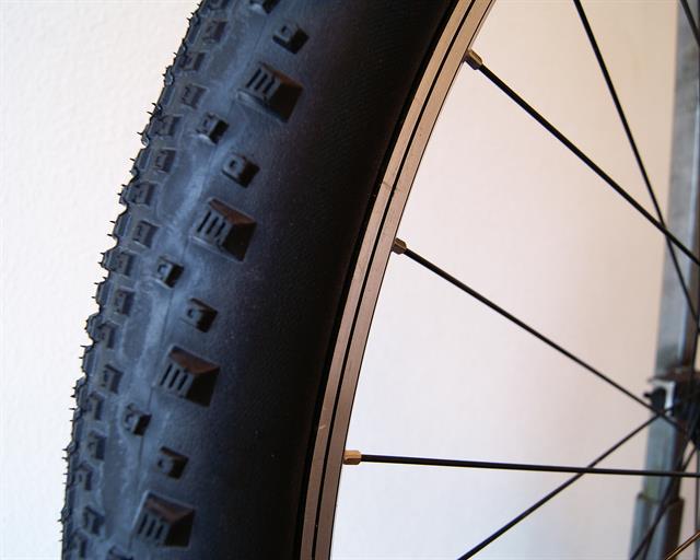 schwalbe thunder burt evo 29